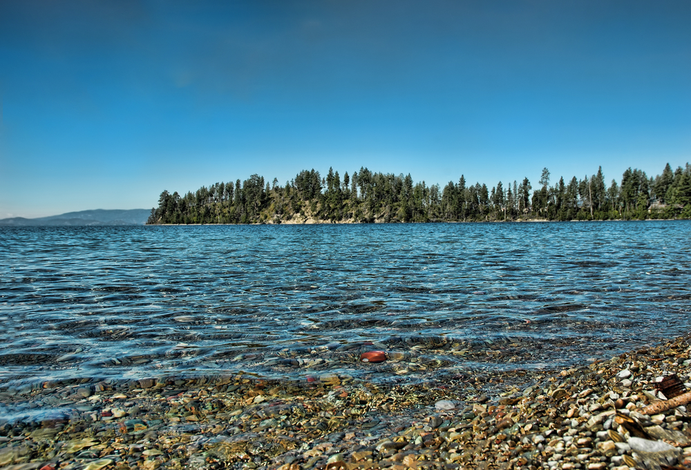 Pebble beach with clear water and trees in the background under a blue sky.