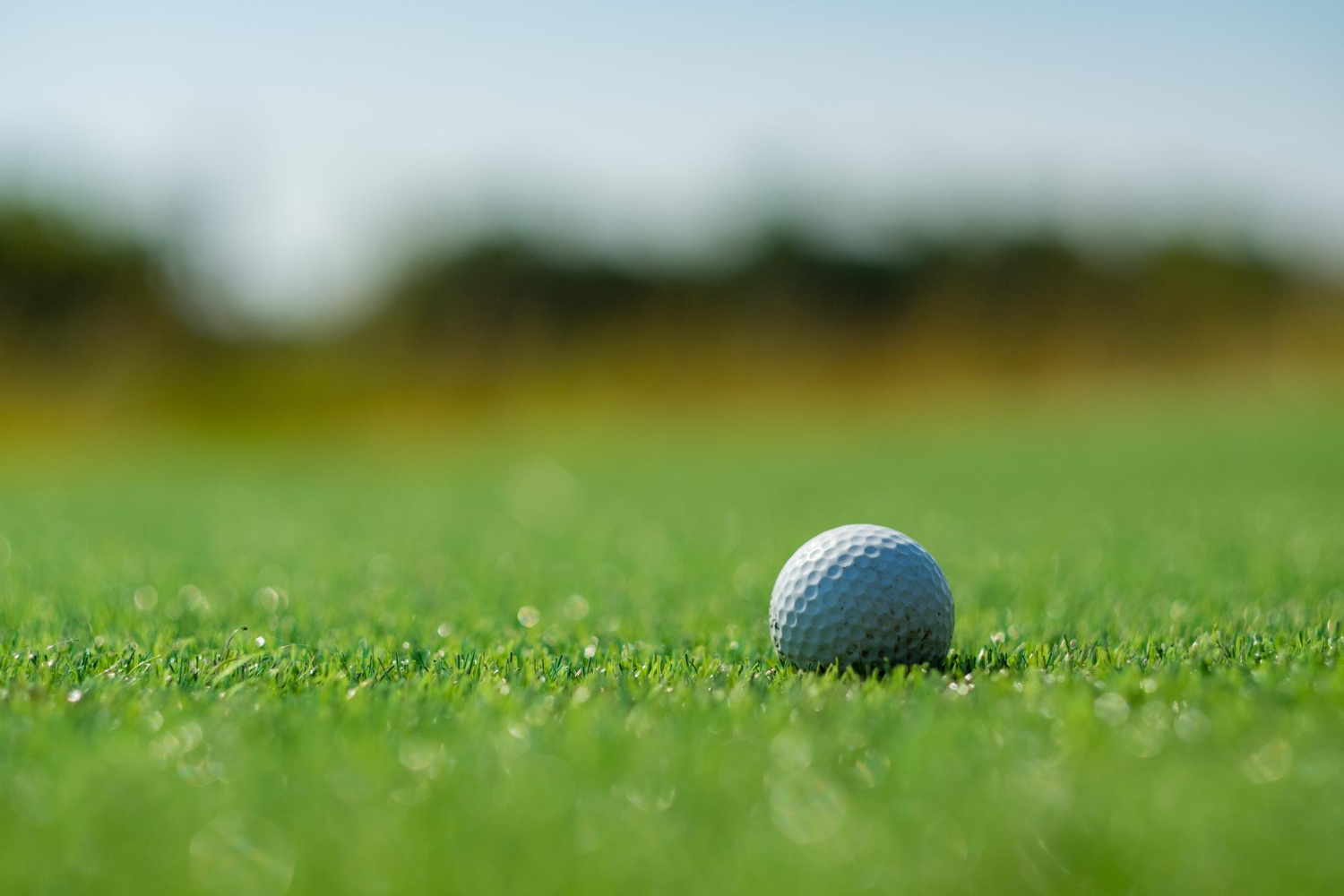 Close-up of a golf ball on green grass with blurry background.