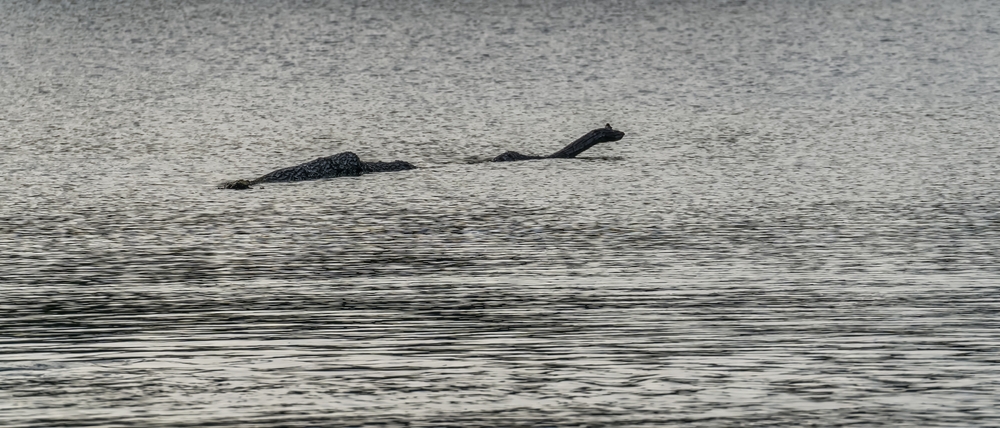 Silhouette of a mysterious creature resembling Nessie in a lake.